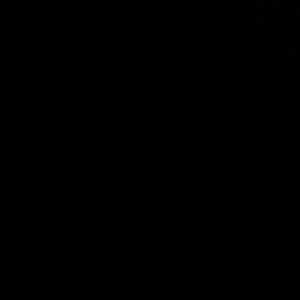 Meet your Posher, Dara